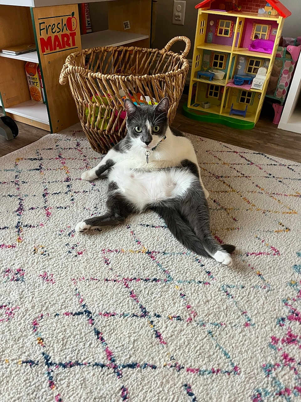 Charles joined the competition — help win amazing prizes! cat, grey_and_white, relaxed_pose, rug, patterned_rug, basket, colorful_items, dollhouse, indoor, wooden_floor, toy, playroom, pet, feline, collar, keychain, home_interior, furniture, cute, animal