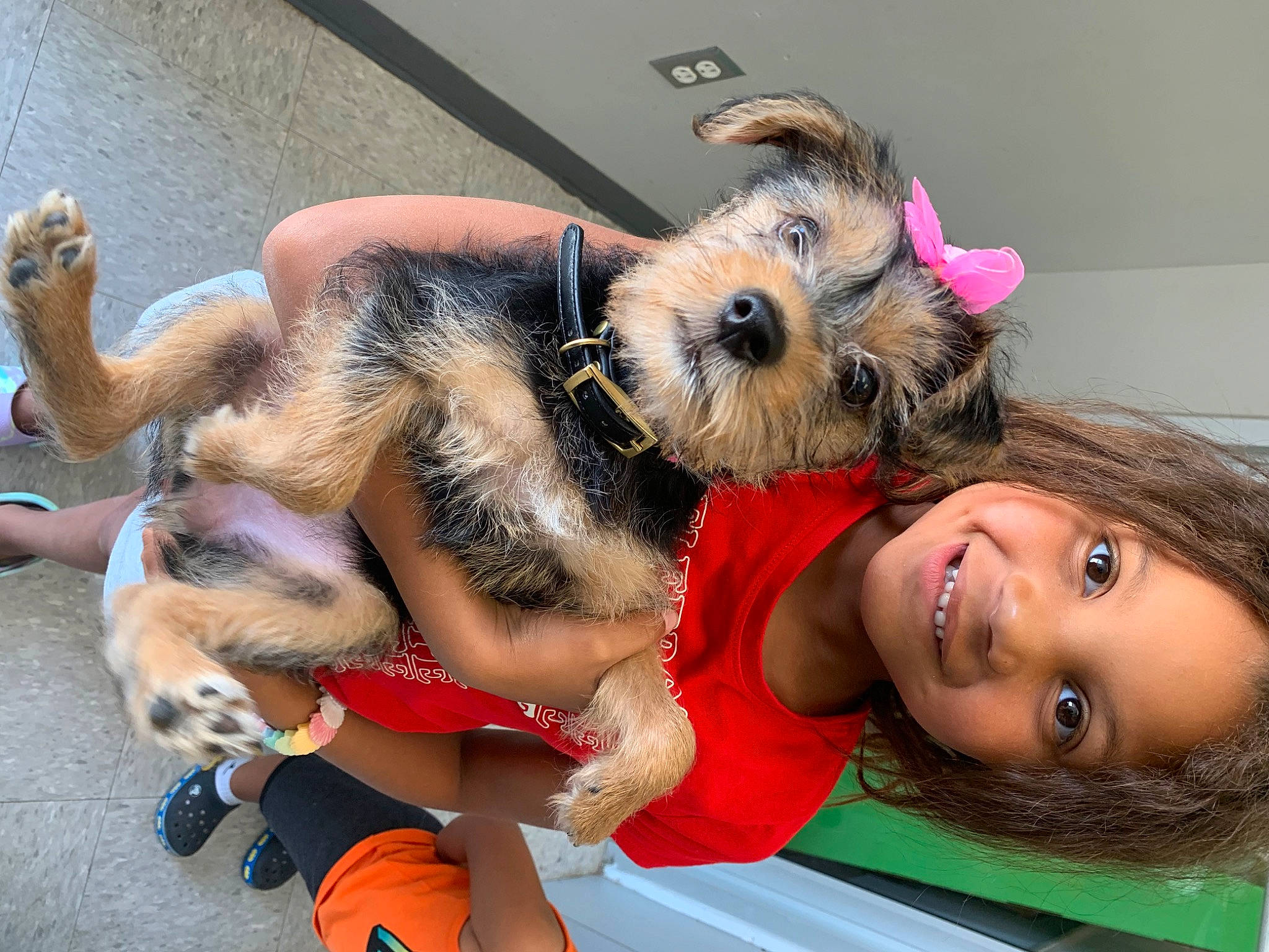 Jazmyn joined the competition — help win amazing prizes! canidae, carnivore, companion_dog, dog, dog_breed, ear, event, fawn, fun, fur, happy, joy, leisure, paw, person, selfie, smile, sporting_group, t_shirt, terrier