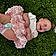 Evalynn