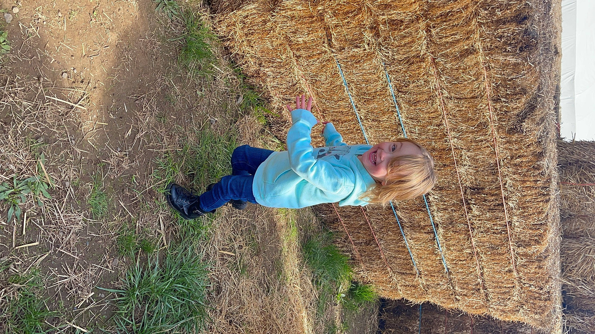Scarlett is registered to the contest to win money with this photo: baby, baby_toddler_clothing, child, electric_blue, fun, grass, grassland, happy, joy, landscape, leisure, people_in_nature, person, plant, play, shadow, smile, soil, toddler, tree