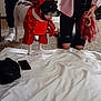Chico joined the competition — help win amazing prizes! dog, costume, lobster, indoor, carpet, people, kneeling, standing, pet, animal, clothing, red, white, black, funny, casual, home, floor, legs, hands