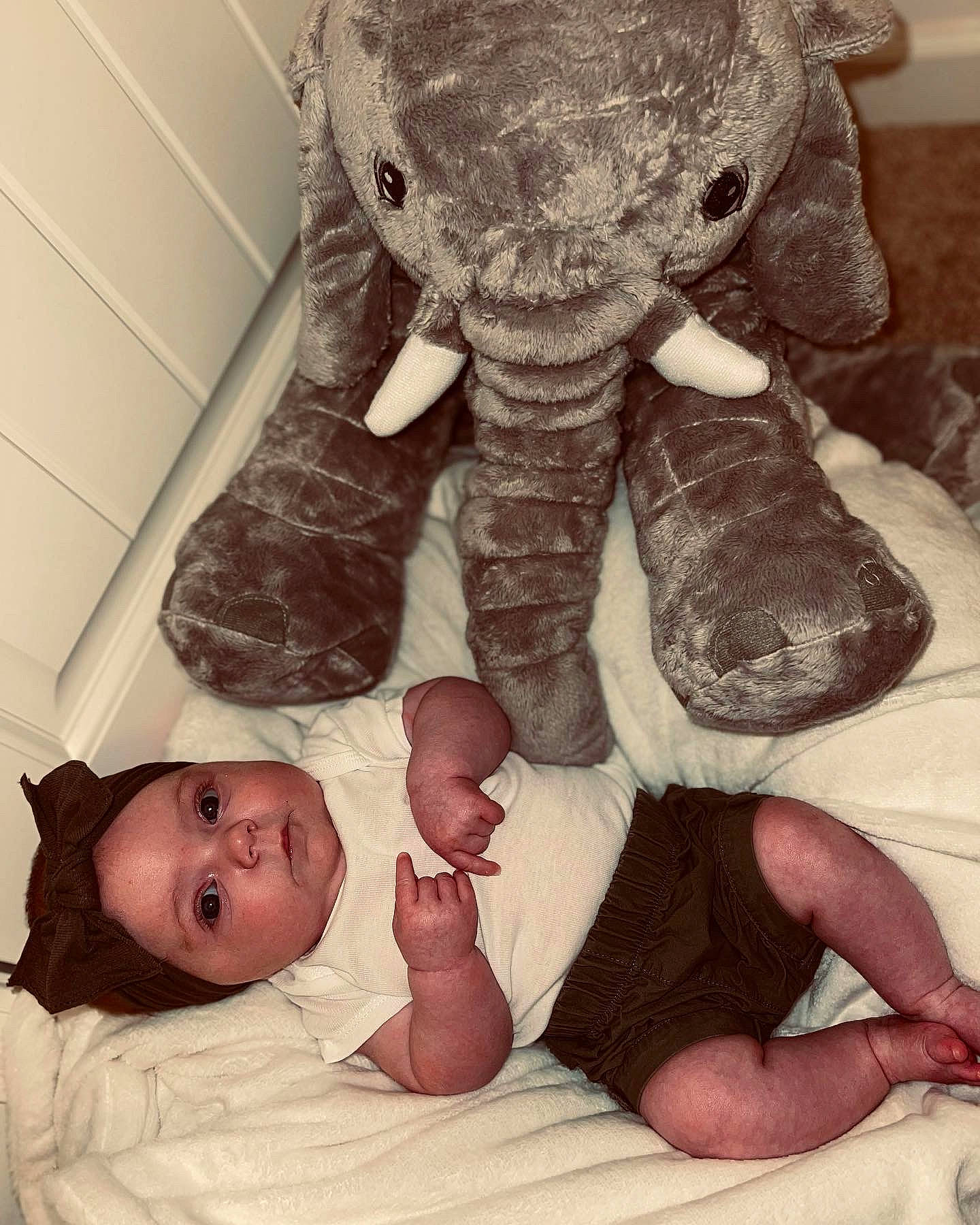 Paisley joined the competition — help win amazing prizes! black, comfort, elephant, eye, finger, gesture, hand, head, headwear, joint, mammal, mouth, organ, person, photograph, product, skin, textile, toy, vertebrate