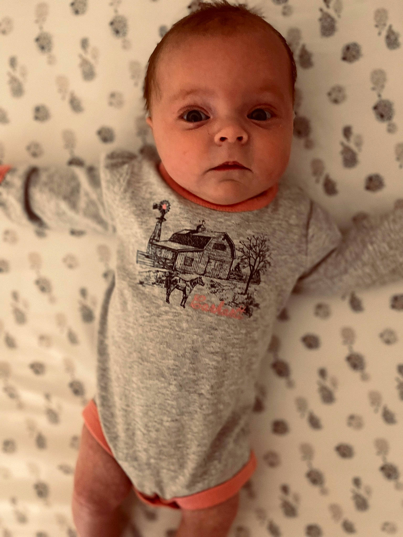 Paisley is registered to the contest to win money with this photo: baby, baby_toddler_clothing, cheek, child, comfort, flesh, flooring, happy, human_leg, linens, lip, mouth, neck, nose, pattern, person, sitting, skin, sleeve, t_shirt