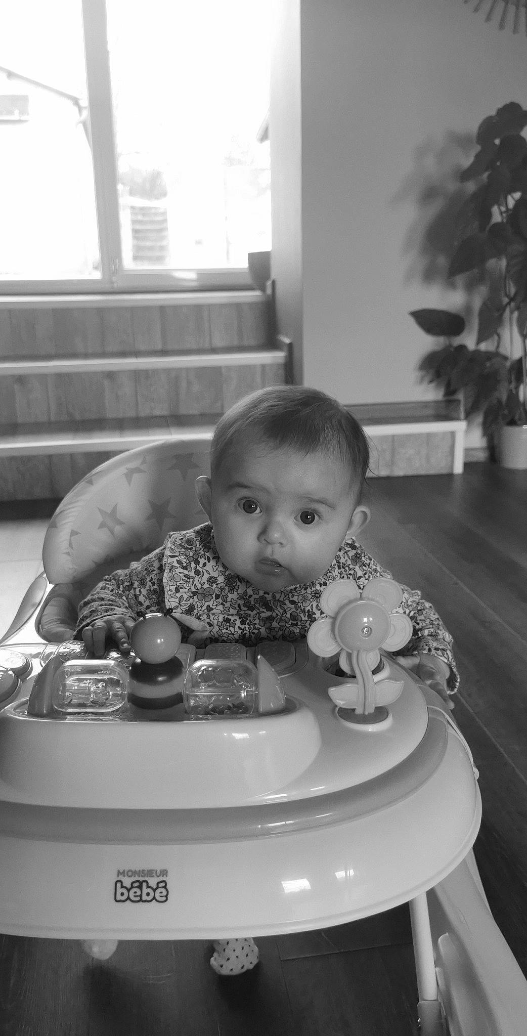 Candice participe au concours pour gagner de l'argent avec cette photo : baby, baked_goods, child, curious, daylighting, dishware, home, houseplant, lid, living_room, person, plastic, plate, small_appliance, surprise, toddler