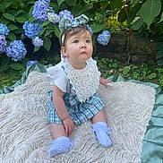 Livvy-Rose is registered to the contest to win money with this photo: baby, child, girl, outdoor, flower, hydrangea, greenery, blanket, headband, bow, bib, grass, plants, sitting, cute, portrait, nature, garden, white_socks, clothing