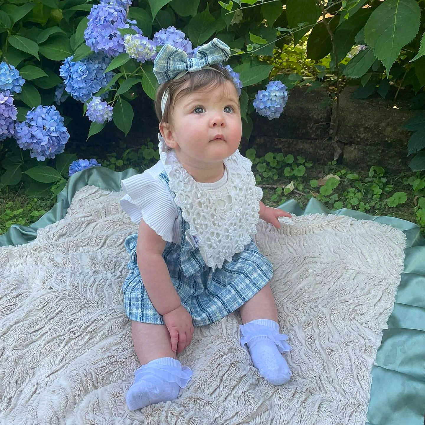 Livvy-Rose is registered to the contest to win money with this photo: baby, bib, blanket, bow, child, clothing, cute, flower, garden, girl, grass, greenery, headband, hydrangea, nature, outdoor, plants, portrait, sitting, white_socks