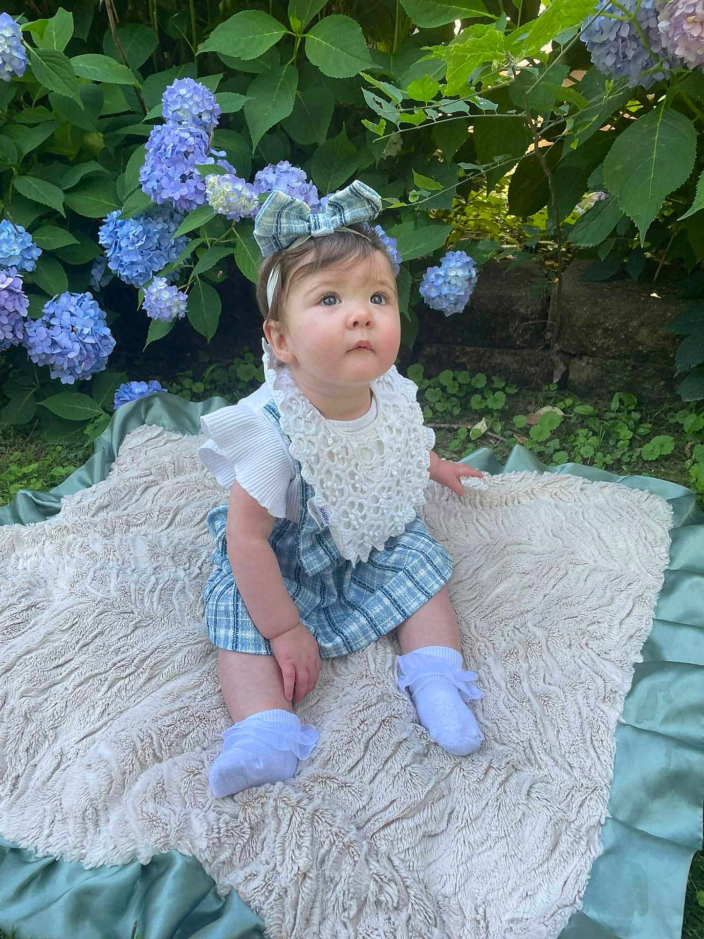 Livvy-Rose is registered to the contest to win money with this photo: baby, child, girl, outdoor, flower, hydrangea, greenery, blanket, headband, bow, bib, grass, plants, sitting, cute, portrait, nature, garden, white_socks, clothing