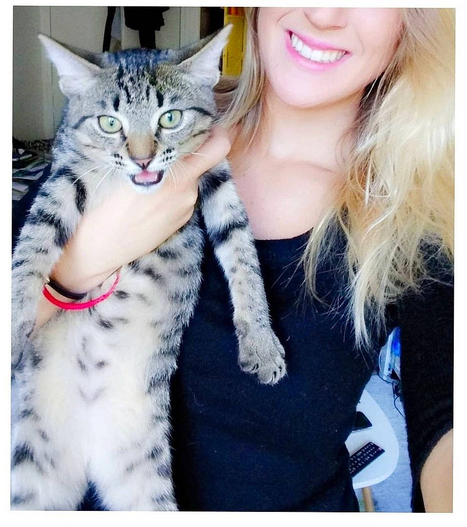 Marco a rejoint le concours — aidez-le/la à gagner de superbes lots ! carnivore, cat, cool, eye, fawn, felidae, gesture, hair, happy, lap, leg, long_hair, organ, sleeve, small_to_medium_sized_cats, smile, street_fashion, thigh, whiskers, white