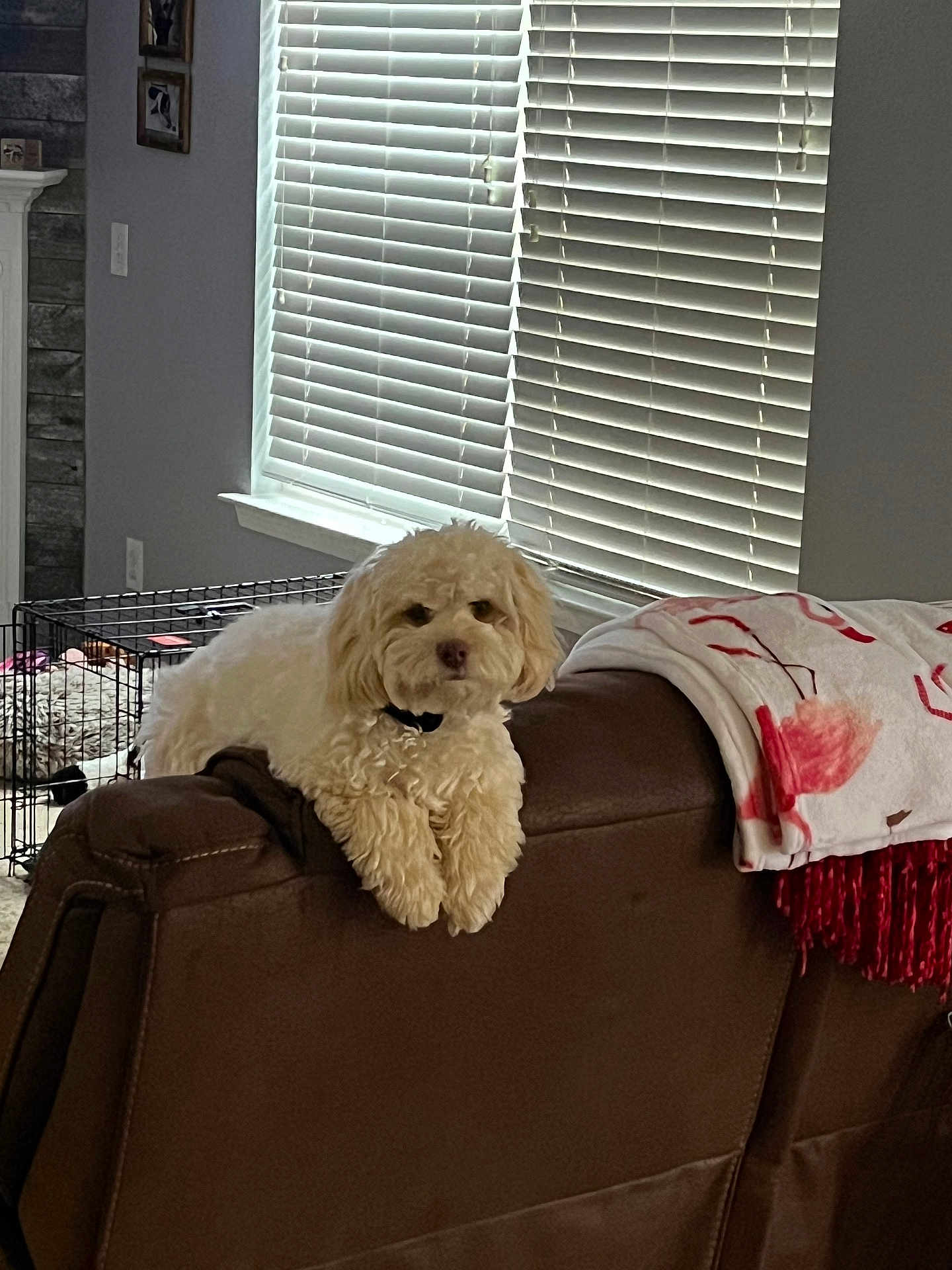 Zoe