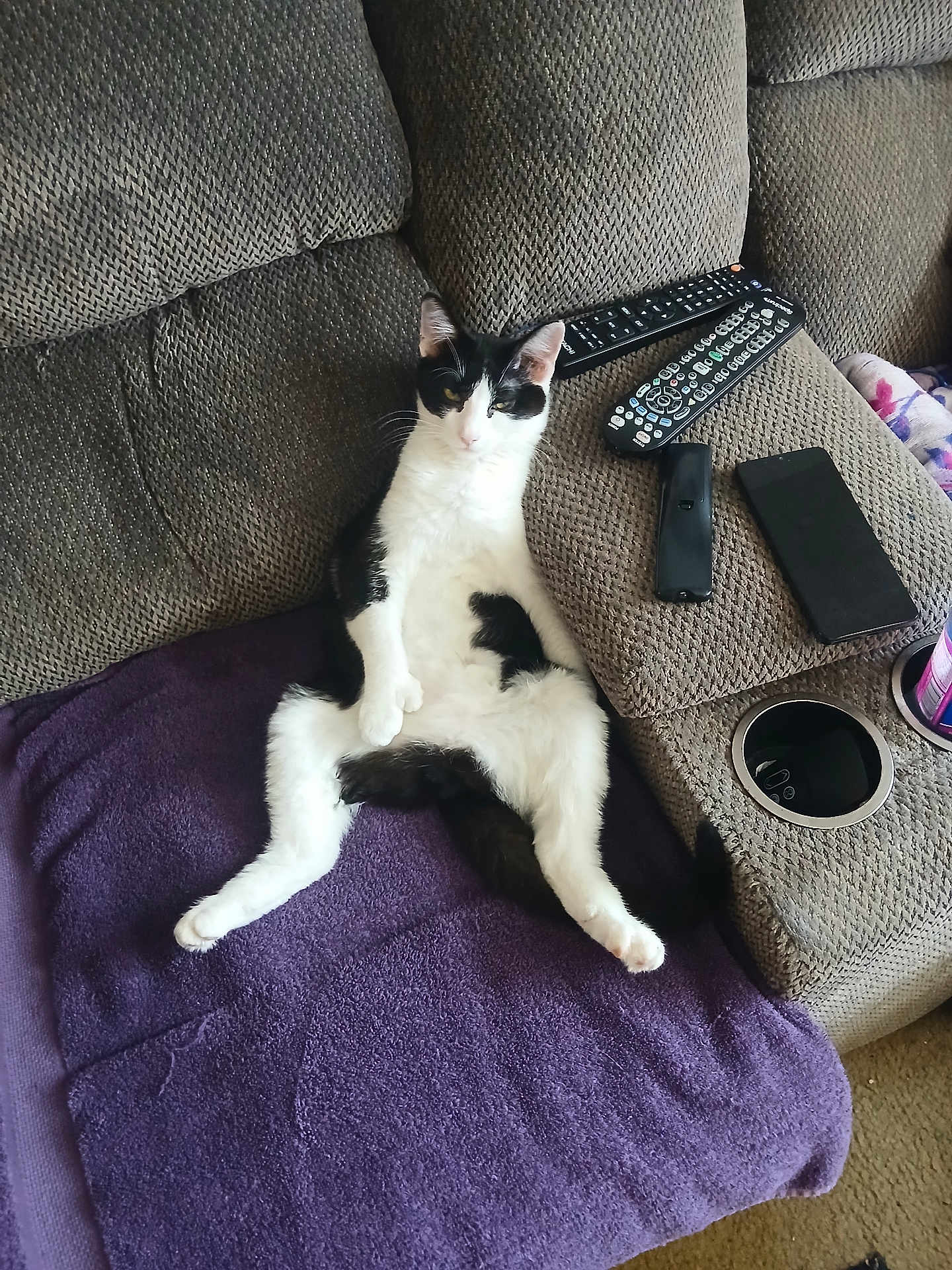 Mitz joined the competition — help win amazing prizes! black_and_white, cat, couch, electronics, feline, fur, home, indoor, lazy, living_room, paw, pet, phone, purple_towel, relaxed, remote_controls, resting, tail, textured_fabric, whiskers