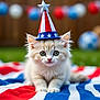 animal, blanket, cat, celebration, cute, decorations, ears, eyes, fluffy, grass, kitten, outdoor, party_hat, patriotic, pet, portrait, red_white_blue, small, whiskers, young