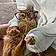 Mr.kitty