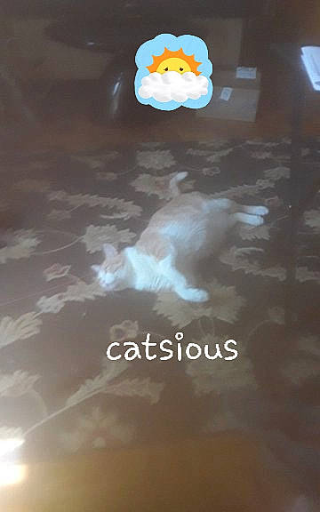 Catscious is registered to the contest to win money with this photo: cloud, meteorological_phenomenon, sky