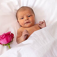Lynette is registered to the contest to win money with this photo: baby, newborn, rose, flower, blanket, white, skin, peaceful, cute, infant, lying, bed, soft, tender, portrait, small, hand, face, resting, indoors
