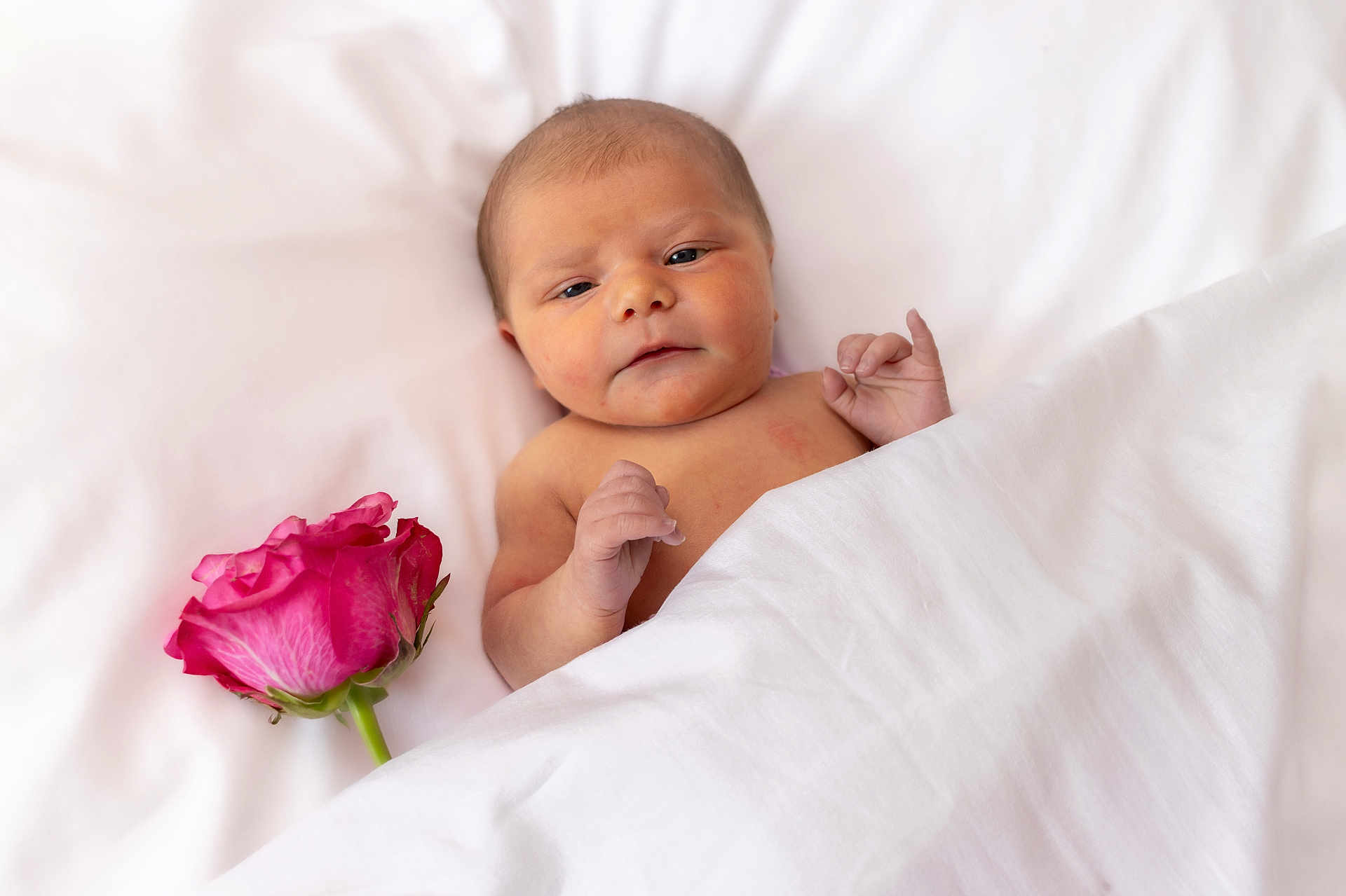 Lynette is registered to the contest to win money with this photo: baby, newborn, rose, flower, blanket, white, skin, peaceful, cute, infant, lying, bed, soft, tender, portrait, small, hand, face, resting, indoors