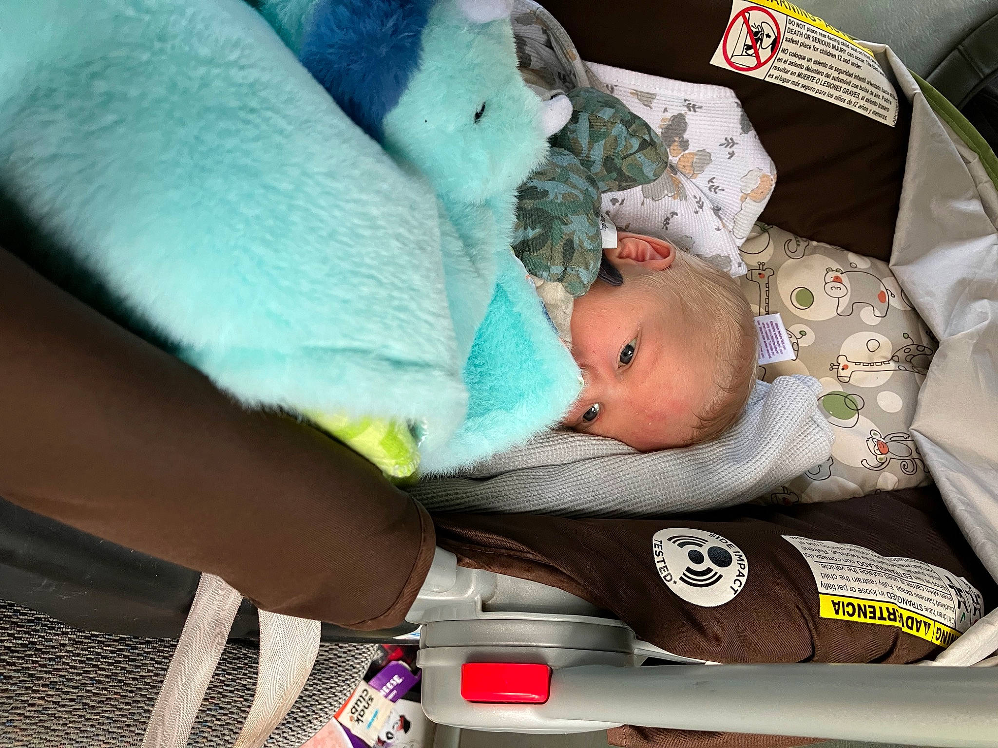 Kimi joined the competition — help win amazing prizes! baby, baby_carriage, baby_in_car_seat, baby_products, baby_safety, baby_sleeping, baby_toddler_clothing, car_seat, child, comfort, finger, hand, linens, nail, nap, person, room, skin, sleep, textile