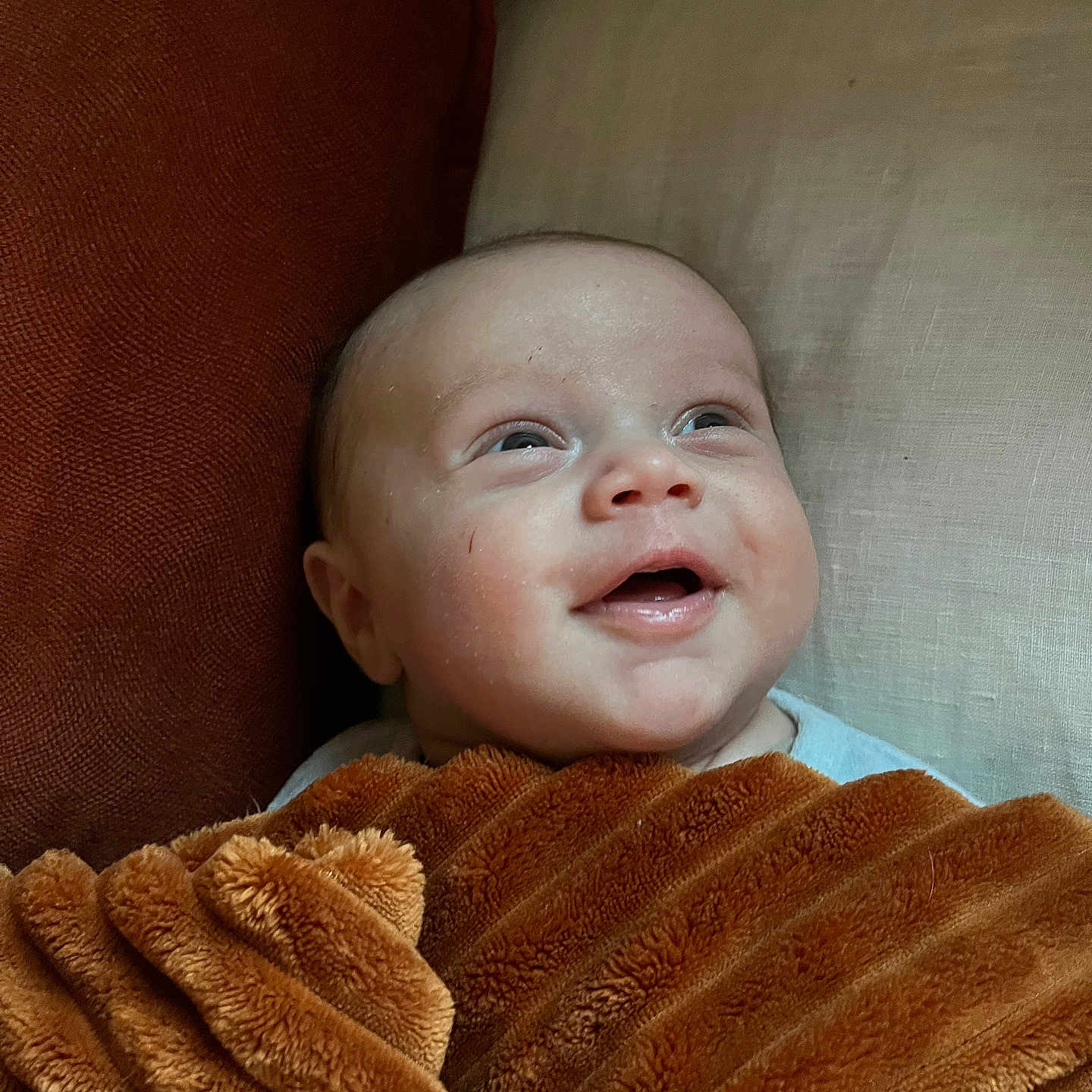Maël a rejoint le concours — aidez-le/la à gagner de superbes lots ! baby, blanket, bodypart, clothing, coat, couch, cushion, face, finger, furniture, glove, hand, happy, head, newborn, person, photography, portrait, smile, towel