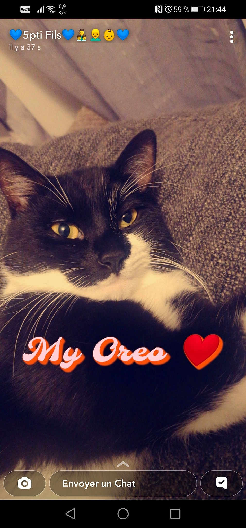 Oreo