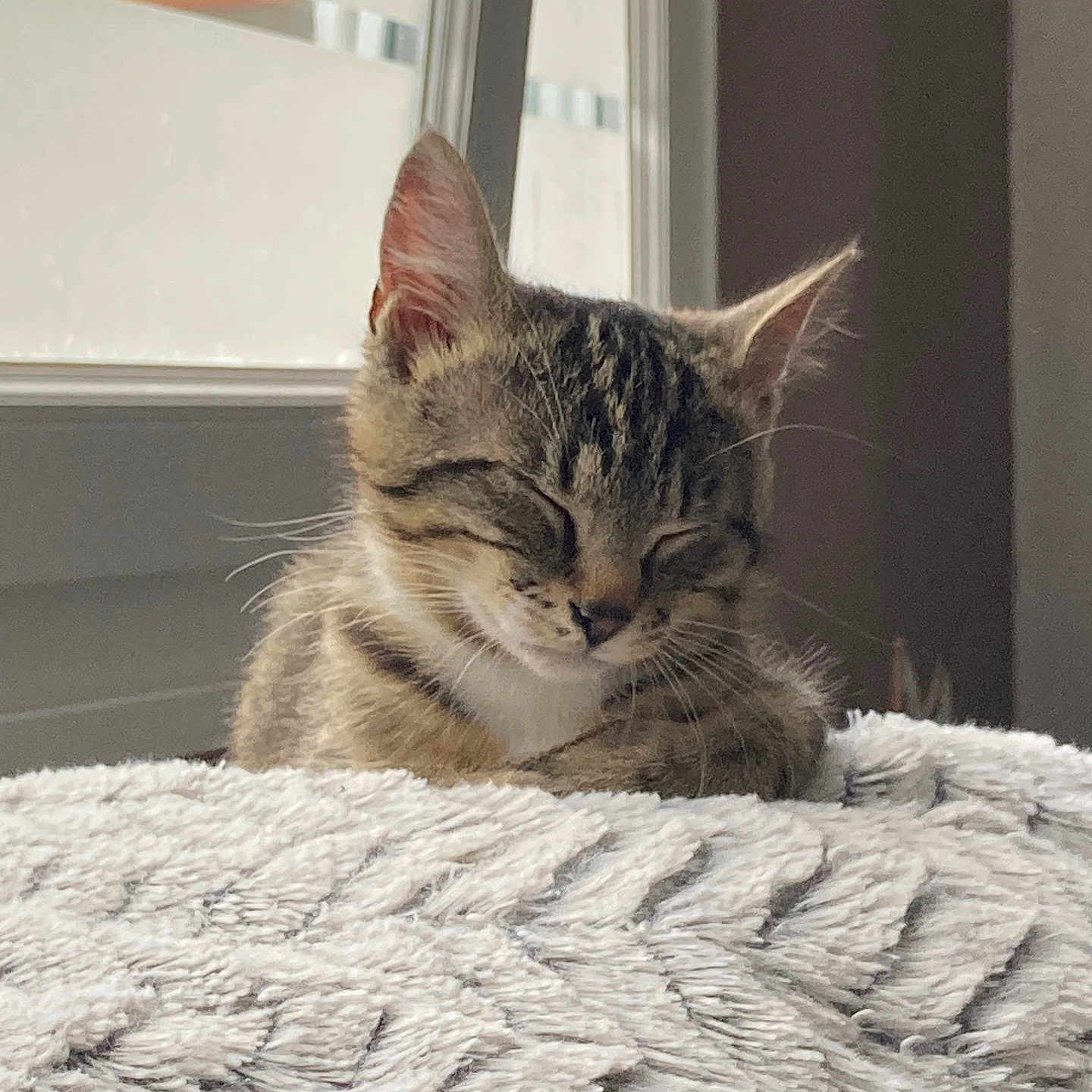 Berlioz