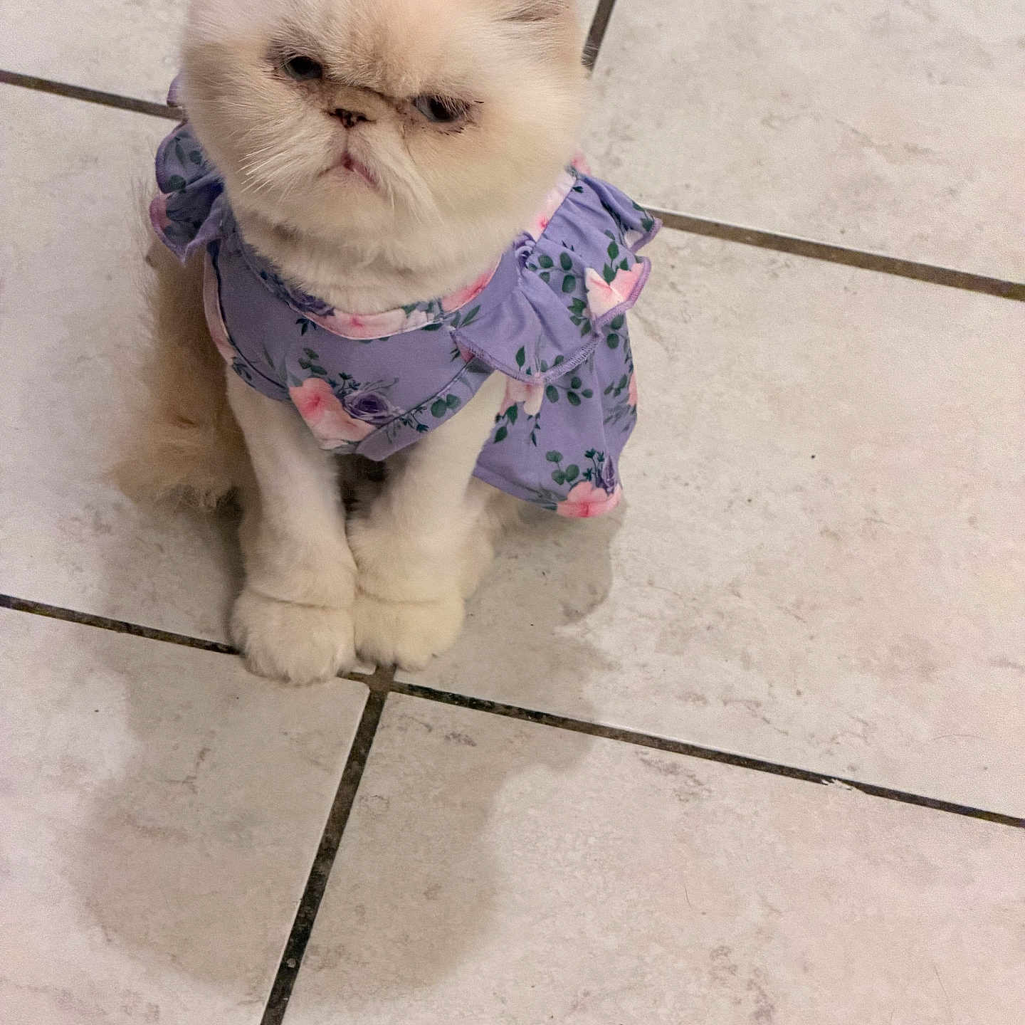 Margarita