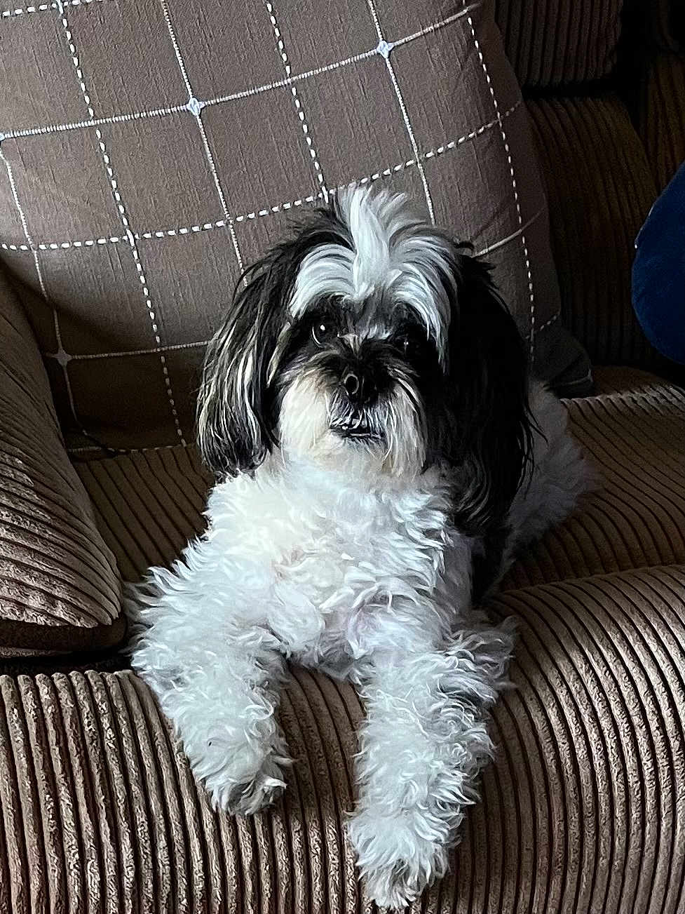 Henri