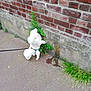 dog, white_dog, small_dog, leash, brick_wall, sidewalk, plant, greenery, outdoor, candid, pet, walking, curious, nature, urban, concrete, fence, pavement, animal, daytime