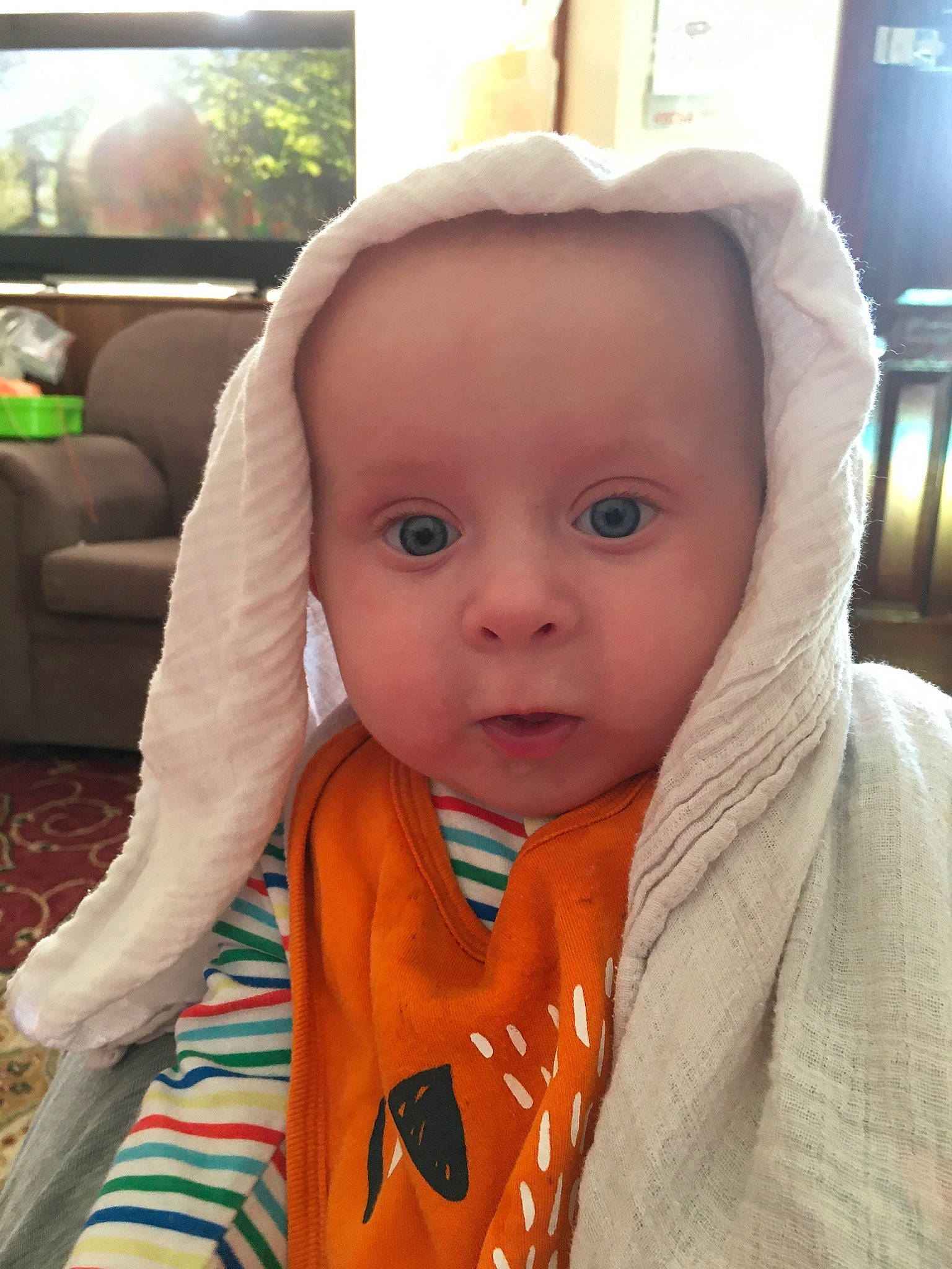 Dorian joined the competition — help win amazing prizes! baby, car_seat, cheek, child, ear, electronic_device, eye, face, forehead, head, iris, lip, mouth, neck, nose, person, skin, toddler