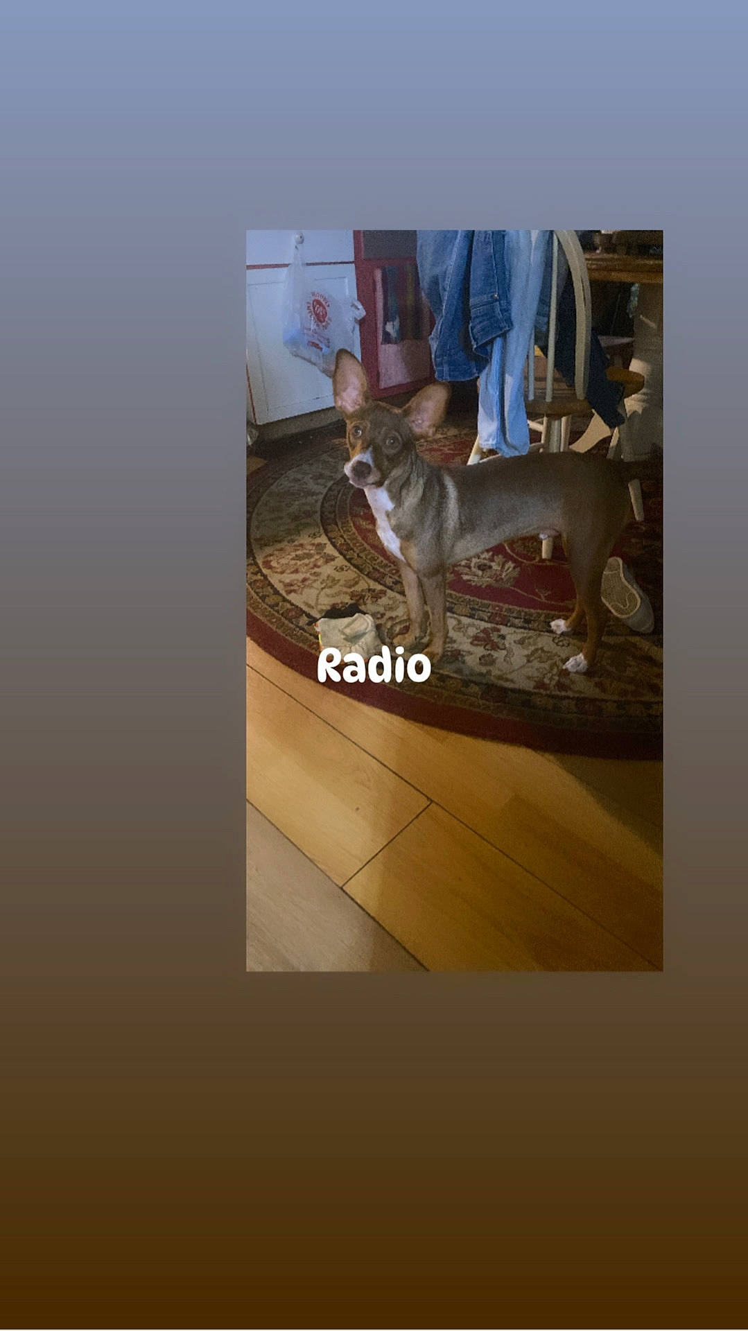 Radio