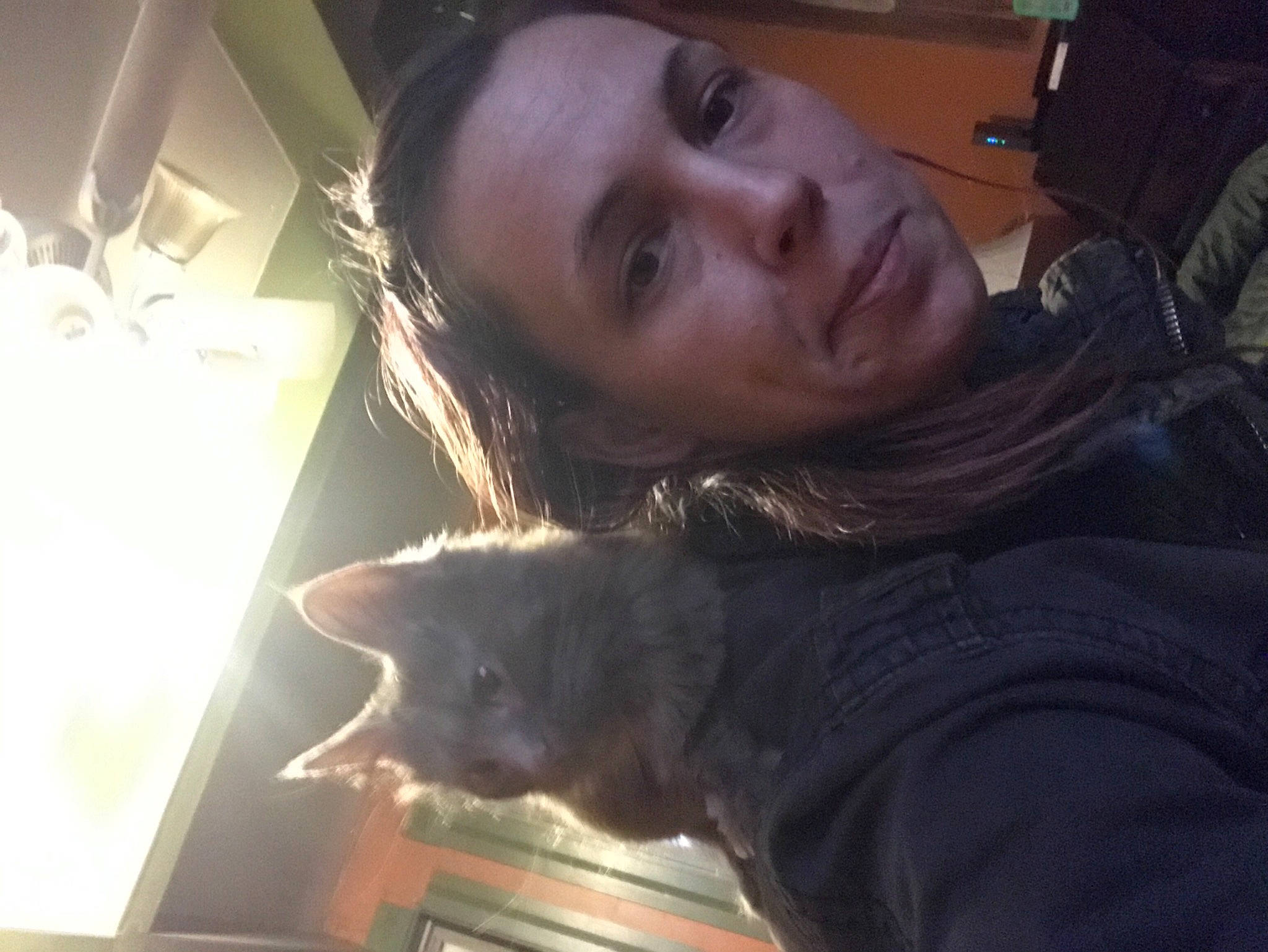 Sasha joined the competition — help win amazing prizes! bag, beard, canidae, carnivore, cat, comfort, companion_dog, dog_breed, ear, felidae, fun, fur, gesture, luggage_and_bags, mammal, mouth, room, small_to_medium_sized_cats, snout, whiskers