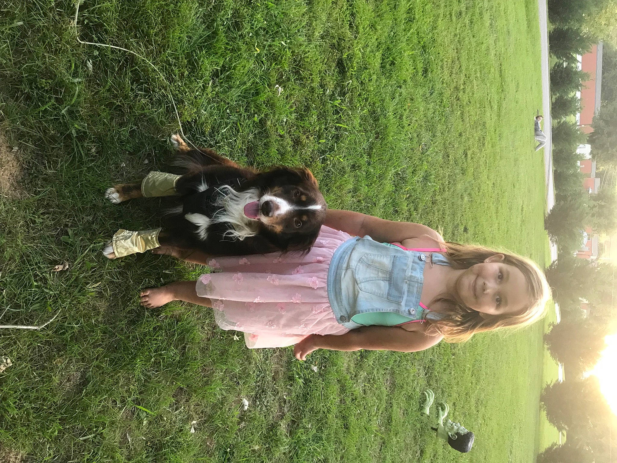 Blaze joined the competition — help win amazing prizes! canidae, carnivore, child, companion_dog, dog, dog_breed, fun, garden, grass, grass_family, green, happy, lawn, leisure, nature, people_in_nature, plant, smile, sporting_group, toddler