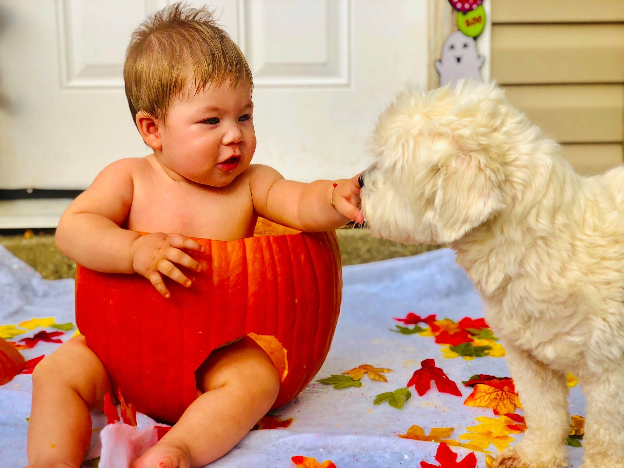 Calel joined the competition — help win amazing prizes! baby, baby_playing_with_toys, canidae, child, companion_dog, dog_breed, person, play, playing_with_kids, puppy_love, toddler, tummy_time