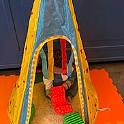 Cole is registered to the contest to win money with this photo: blocks, blue_cabinet, child, colorful, curly_hair, floor, indoor, orange_mat, play_tent, playing, red_stars, soft_rug, striped, striped_block, striped_ribbon, striped_toy, toddler, toys, yellow_tent, young_child