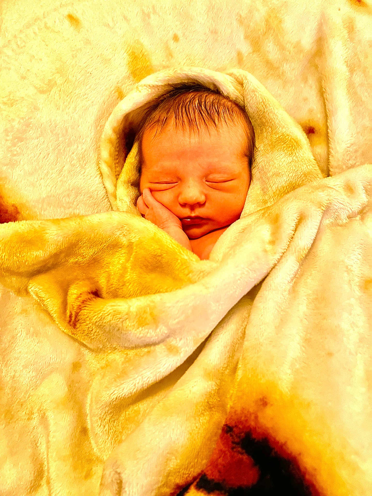 Octavia joined the competition — help win amazing prizes! baby, bed, blanket, face, furniture, head, newborn, person, photography, portrait, quilt, sleeping, towel
