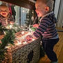 toddler, child, reflection, mirror, string_lights, woven_basket, hoodie, striped_clothing, smiling, happy, indoors, wooden_floor, decor, holiday_lights, greenery, festive, playful, cute, baby, person