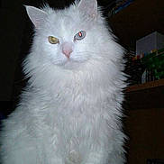 Cleo participe au concours pour gagner de l'argent avec cette photo :
