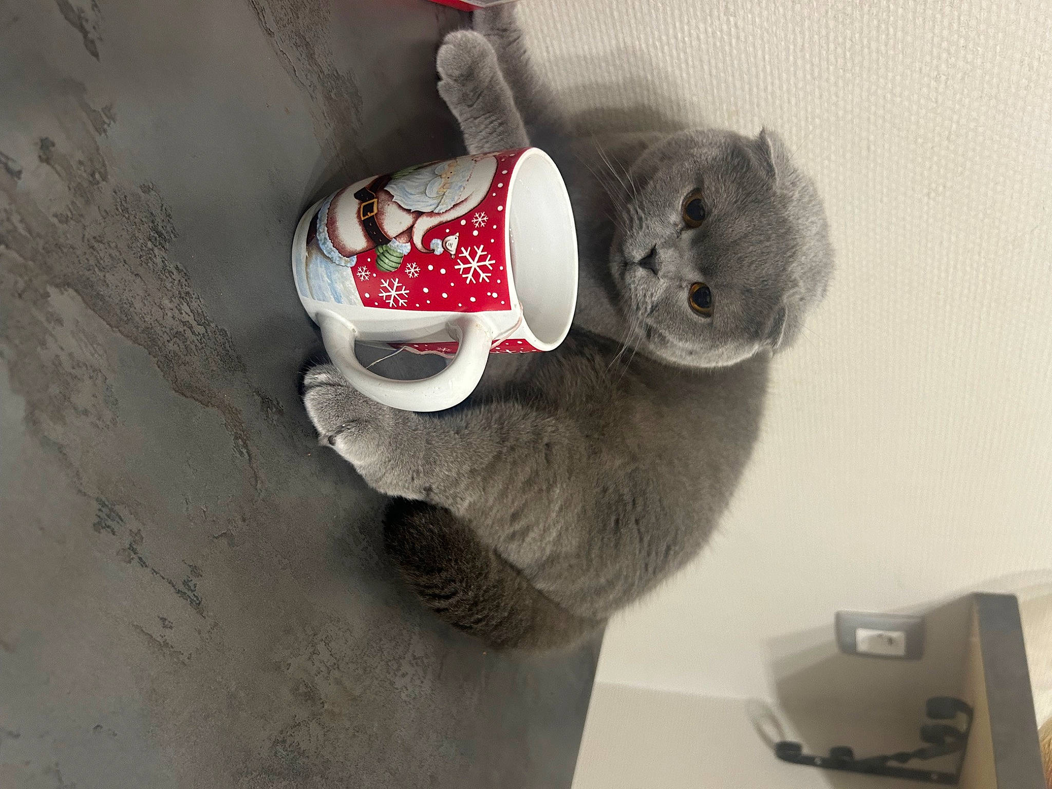 Yoda participe au concours pour gagner de l'argent avec cette photo : art, audio_equipment, cap, carmine, circle, costume_hat, ear, elbow, fashion_accessory, font, fur, grey, hat, monochrome_photography, room, shelf, still_life_photography, visual_arts, wood