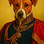 dog, portrait, regal, uniform, military, costume, red_cape, gold_embroidery, decorative_chain, serious_expression, brown_dog, white_markings, historical_style, formal, indoor, studio_lighting, animal_portrait, elegant, decorative, close_up