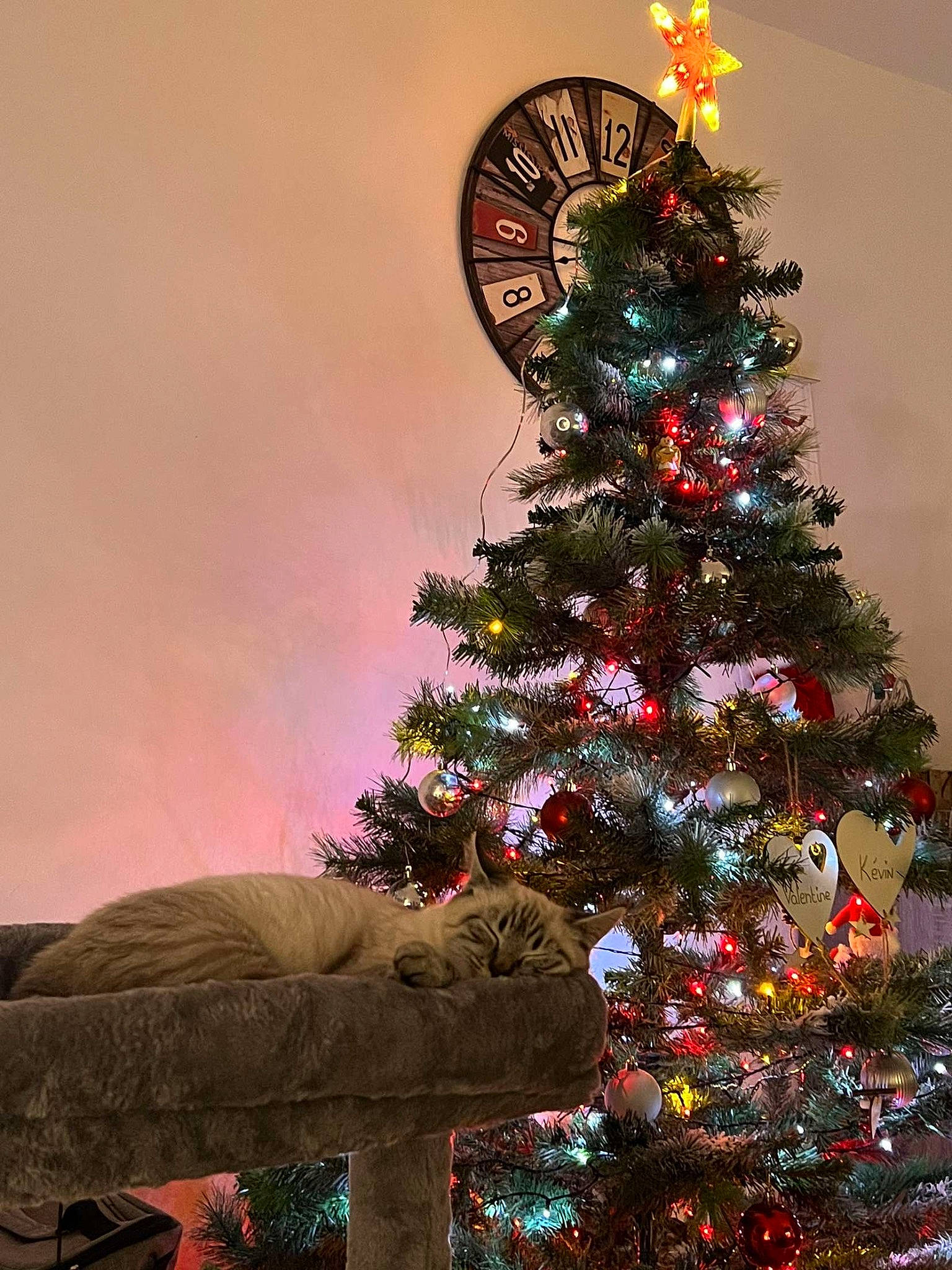 Flocon a rejoint le concours — aidez-le/la à gagner de superbes lots ! branch, christmas, christmas_decoration, christmas_ornament, christmas_tree, event, evergreen, holiday, holiday_ornament, larch, light, lighting, ornament, plant, sky, tints_and_shades, tree, twig, woody_plant, world