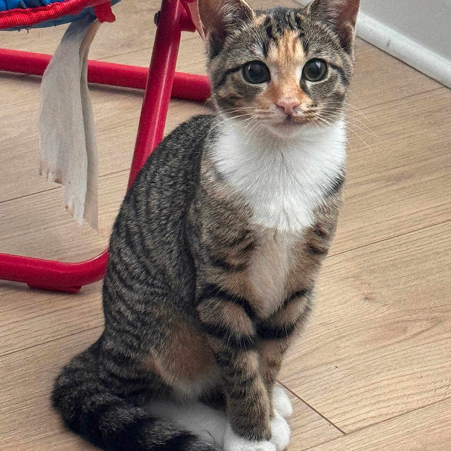 Zoe