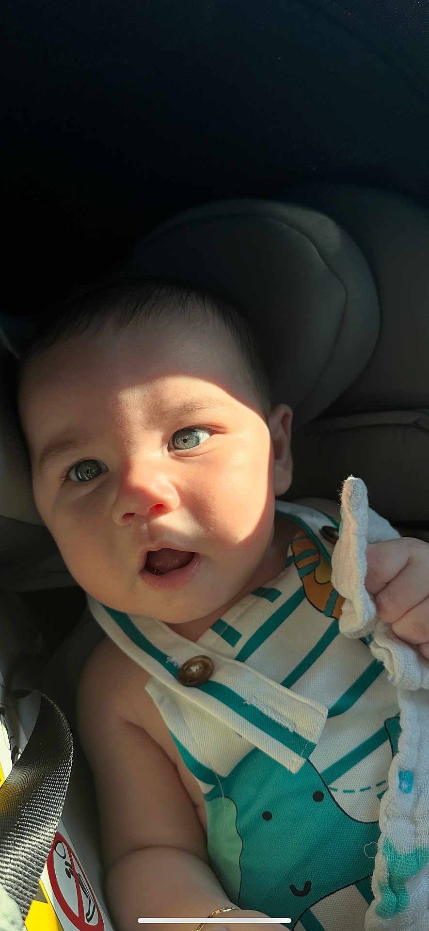 Benjamin Schneider a rejoint le concours — aidez-le/la à gagner de superbes lots ! baby, child, car_seat, face, hand, clothing, sunlight, shadow, fabric, infant, expression, seatbelt, toy, cute, portrait, closeup, skin, person, comfort, car
