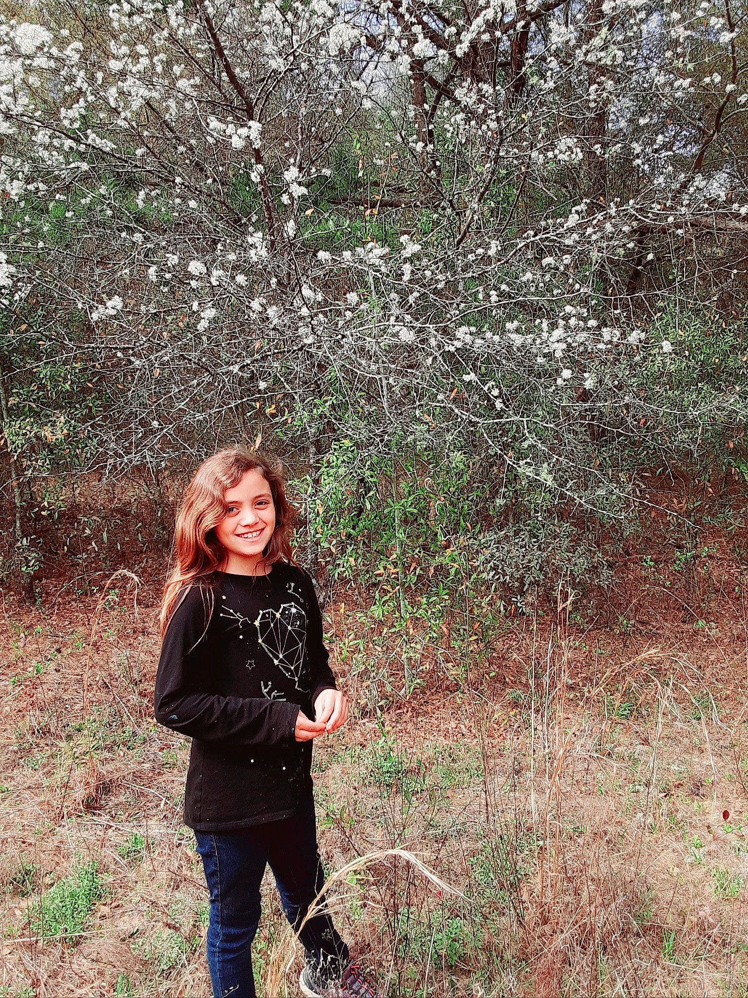 Klara is registered to the contest to win money with this photo: botany, branch, forest, grass, grass_family, grassland, happy, joy, leaf, natural_landscape, people_in_nature, person, plant, shrub, smile, soil, street_fashion, tree, twig, wood