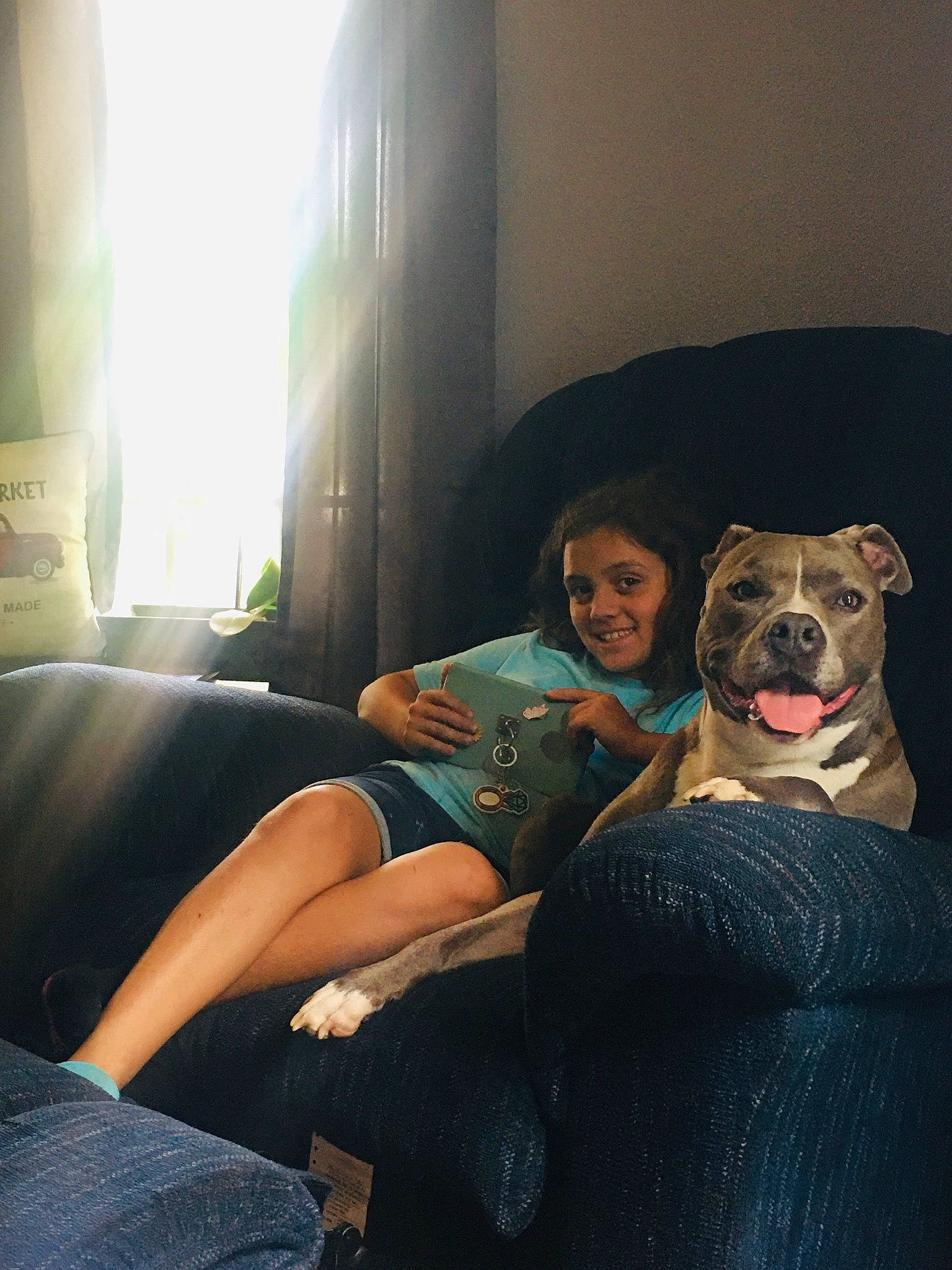 Klara joined the competition — help win amazing prizes! black_hair, carnivore, comfort, companion_dog, cool, couch, dog, dog_breed, facial_expression, fawn, flash_photography, friendship, fun, happy, human_leg, joy, lap, leisure, long_hair, person