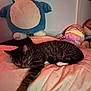 cat, tabby, sleeping, bed, blanket, plush_toy, snorlax, stuffed_animal, indoor, cozy, resting, feline, striped, paw, soft_lighting, cute, relaxed, quiet, home, comfort