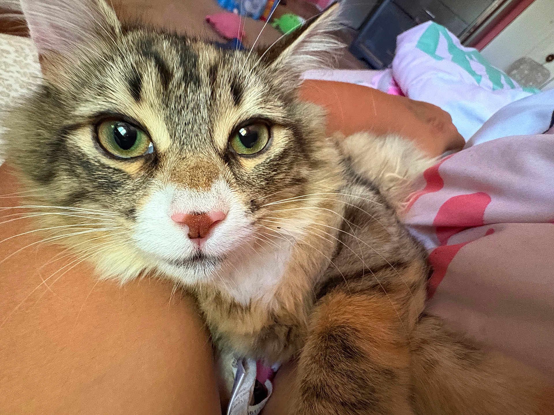 Leila