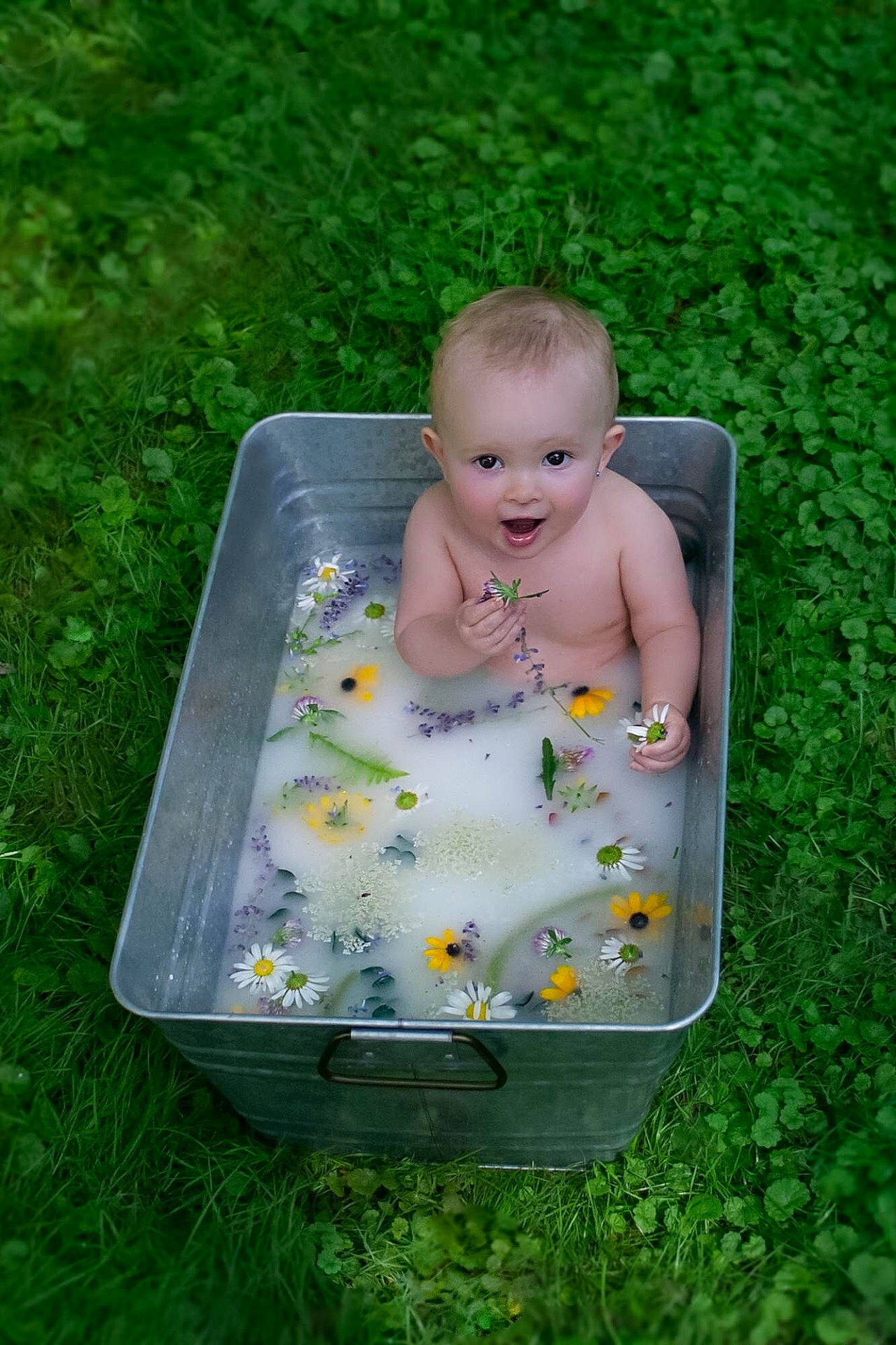 Rosella joined the competition — help win amazing prizes! child, flower, fun, girl, grass, green, infant, lawn, person, plant, play, spring, toddler