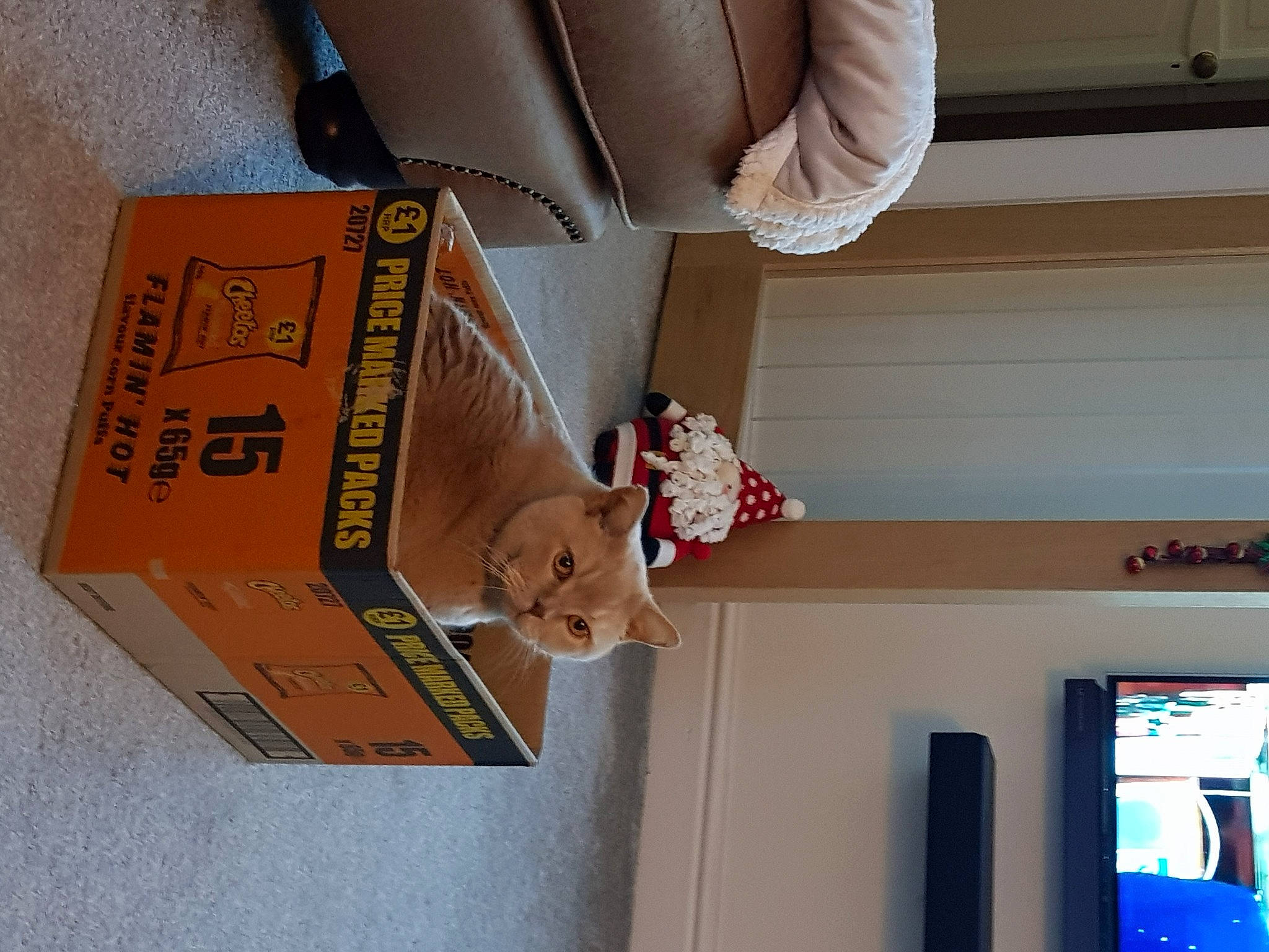 Harry is registered to the contest to win money with this photo: box, cardboard, carmine, carton, font, hardwood, machine, package_delivery, packaging_and_labeling, packing_materials, paper, paper_product, rectangle, room, shelf, shelving, shipping_box, tie, toy, wood