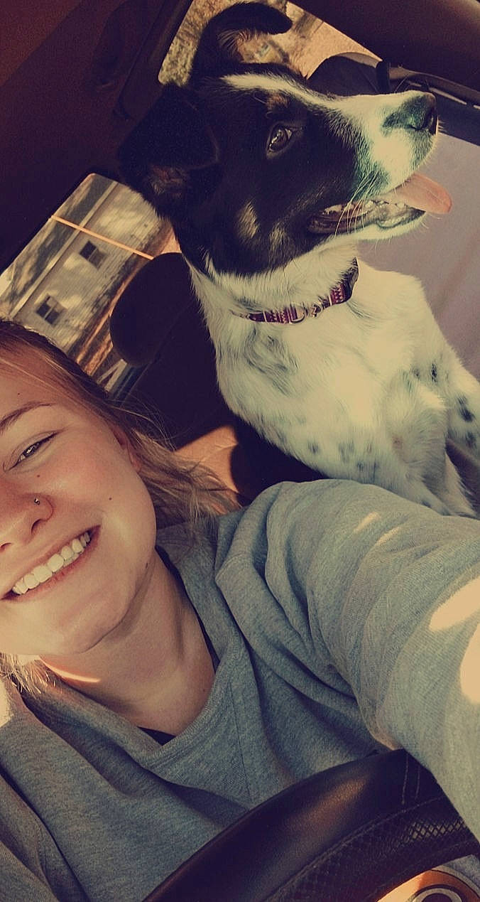 Zayla is registered to the contest to win money with this photo: brown_hair, carnivore, comfort, companion_dog, cool, dog, dog_breed, eyewear, fawn, fur, happy, jaw, love, puppy_love, selfie, sitting, smile, t_shirt, whiskers, working_animal