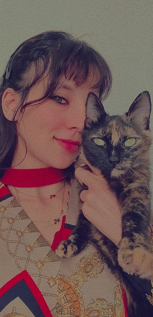 Mimi a rejoint le concours — aidez-le/la à gagner de superbes lots ! carnivore, cat, cheek, ear, eye, eyebrow, eyelash, facial_expression, felidae, gesture, hair, head, iris, jaw, lip, neck, nose, organ, skin, smile