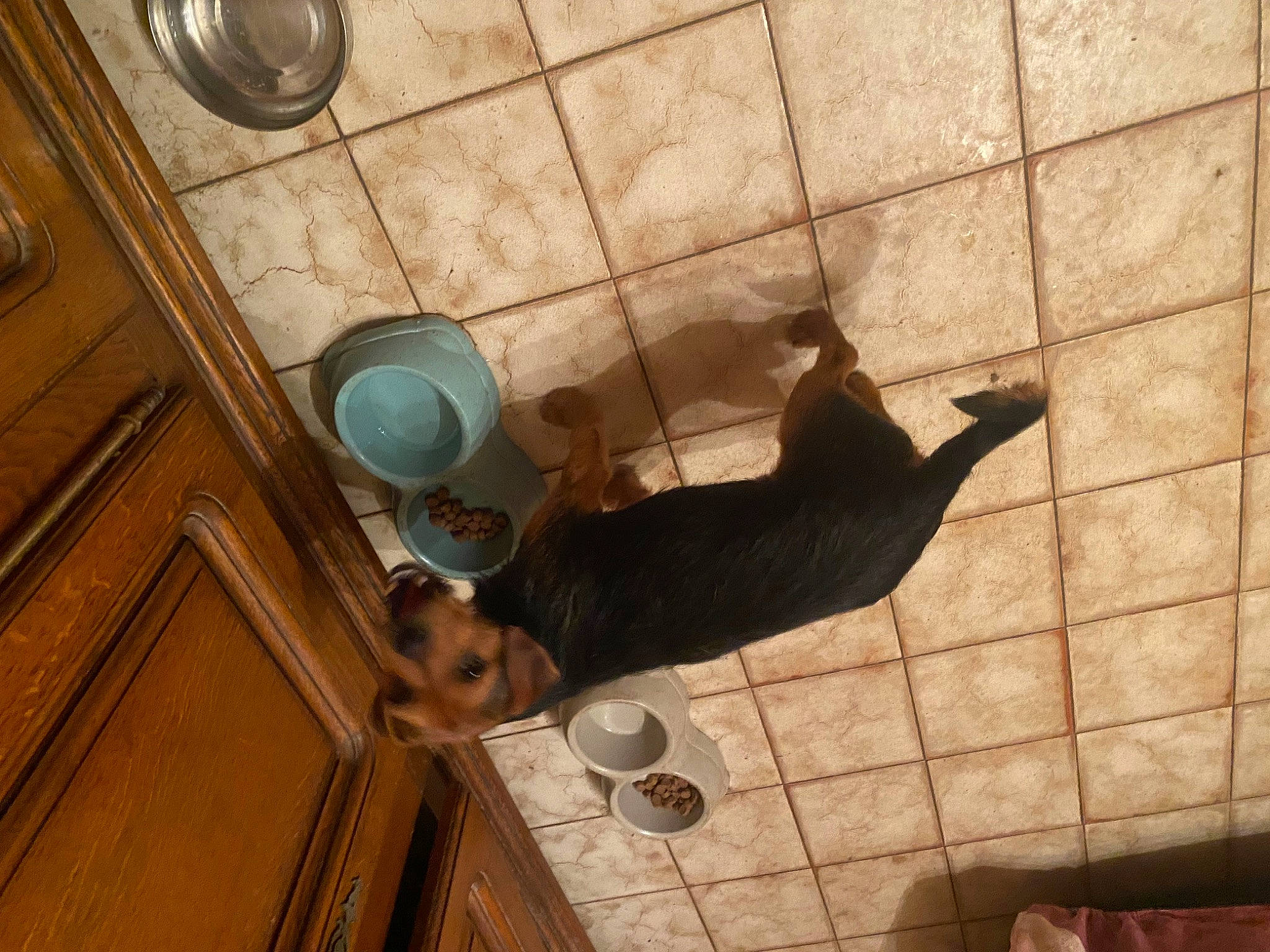 Tedy participe au concours pour gagner de l'argent avec cette photo : architecture, brickwork, ceiling, circle, daylighting, floor, flooring, fun, glass, hardwood, human_leg, interior_design, leisure, pattern, room, shadow, symmetry, tile, tints_and_shades, wood