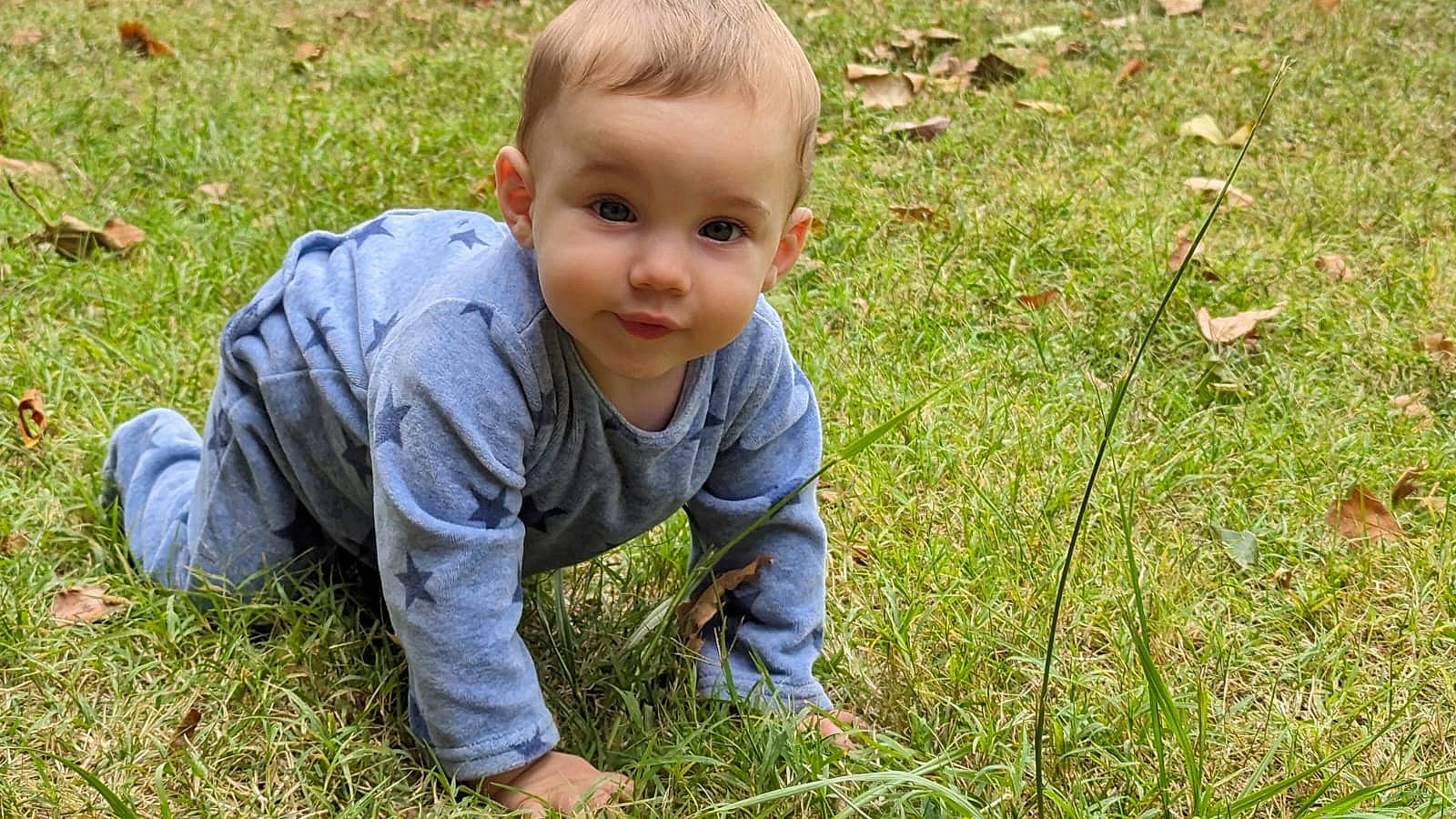Nino participe au concours pour gagner de l'argent avec cette photo : baby, baby_toddler_clothing, fun, gardening, grass, grass_family, grassland, groundcover, happy, lawn, leaf, meadow, people_in_nature, person, plant, prairie, sitting, smile, soil, toddler